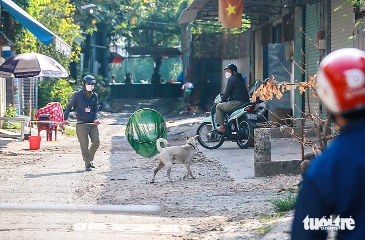 Đội bắt chó thả rông tại phường Hiệp Bình Chánh, TP Thủ Đức - Ảnh: CHÂU TUẤN Đội bắt chó thả rông tại phường Hiệp Bình Chánh, TP Thủ Đức - Ảnh: CHÂU TUẤN