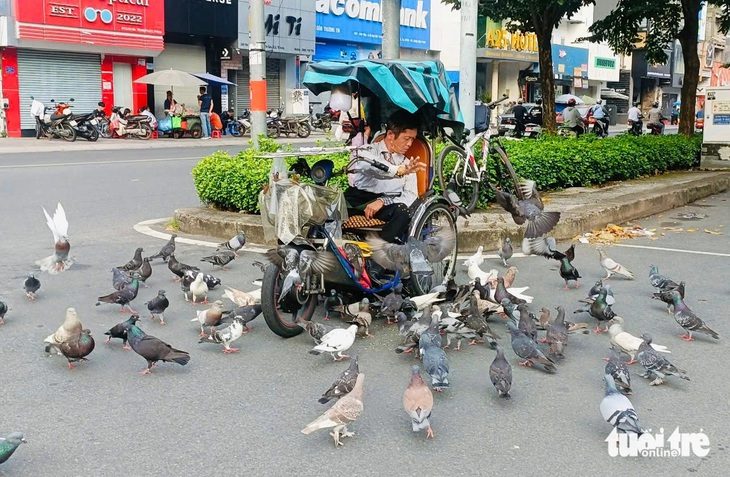 base64-17308623530401580938612 Hình ảnh đẹp nơi công viên: Anh bán vé số nghèo làm bạn với bồ câu, chim trời - Ảnh 1.