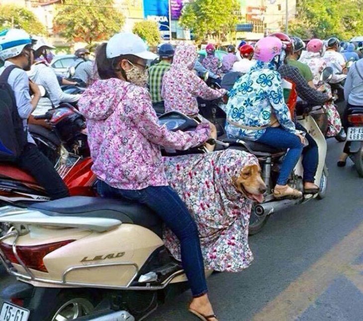 10 cách bảo vệ da khói tác động của tia cực tím gây bỏng da, ung thư da... - Ảnh 1. Những ngày trời nắng nóng thường có chỉ số tia cực tím cao nhất - Ảnh minh họa