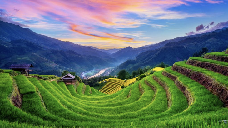Ruộng bậc thang Sapa - Ảnh: HERALD SUN Ruộng bậc thang Sa Pa - Ảnh: HERALD SUN